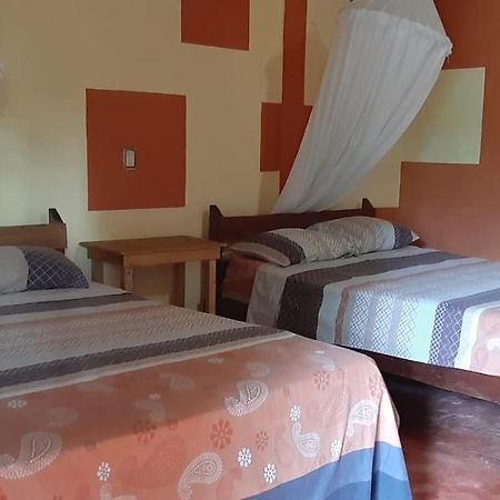 Hotel Centro Ecoturistico Ya'Ajche Lacanjá Exteriér fotografie