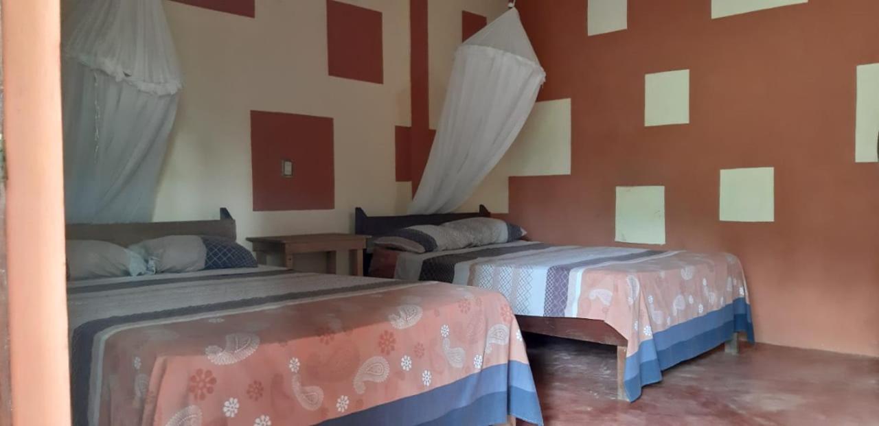Hotel Centro Ecoturistico Ya'Ajche Lacanjá Exteriér fotografie