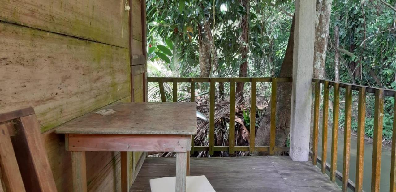Hotel Centro Ecoturistico Ya'Ajche Lacanjá Exteriér fotografie