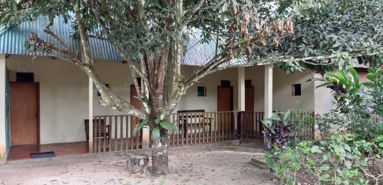 Hotel Centro Ecoturistico Ya'Ajche Lacanjá Exteriér fotografie
