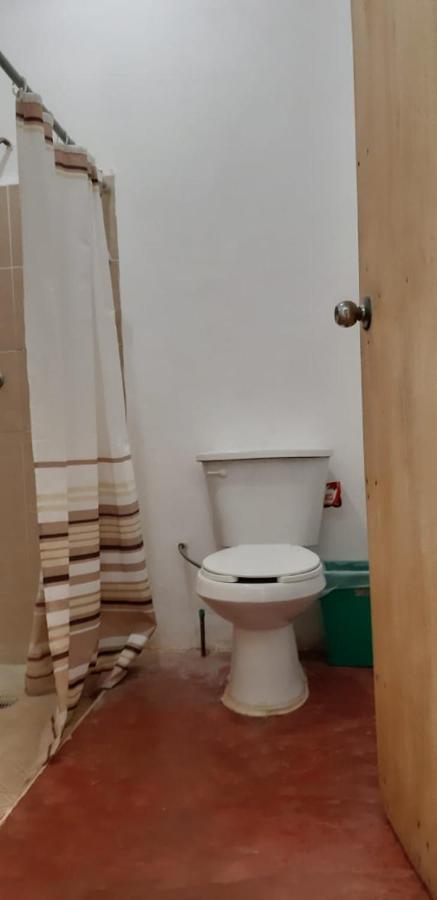 Hotel Centro Ecoturistico Ya'Ajche Lacanjá Exteriér fotografie